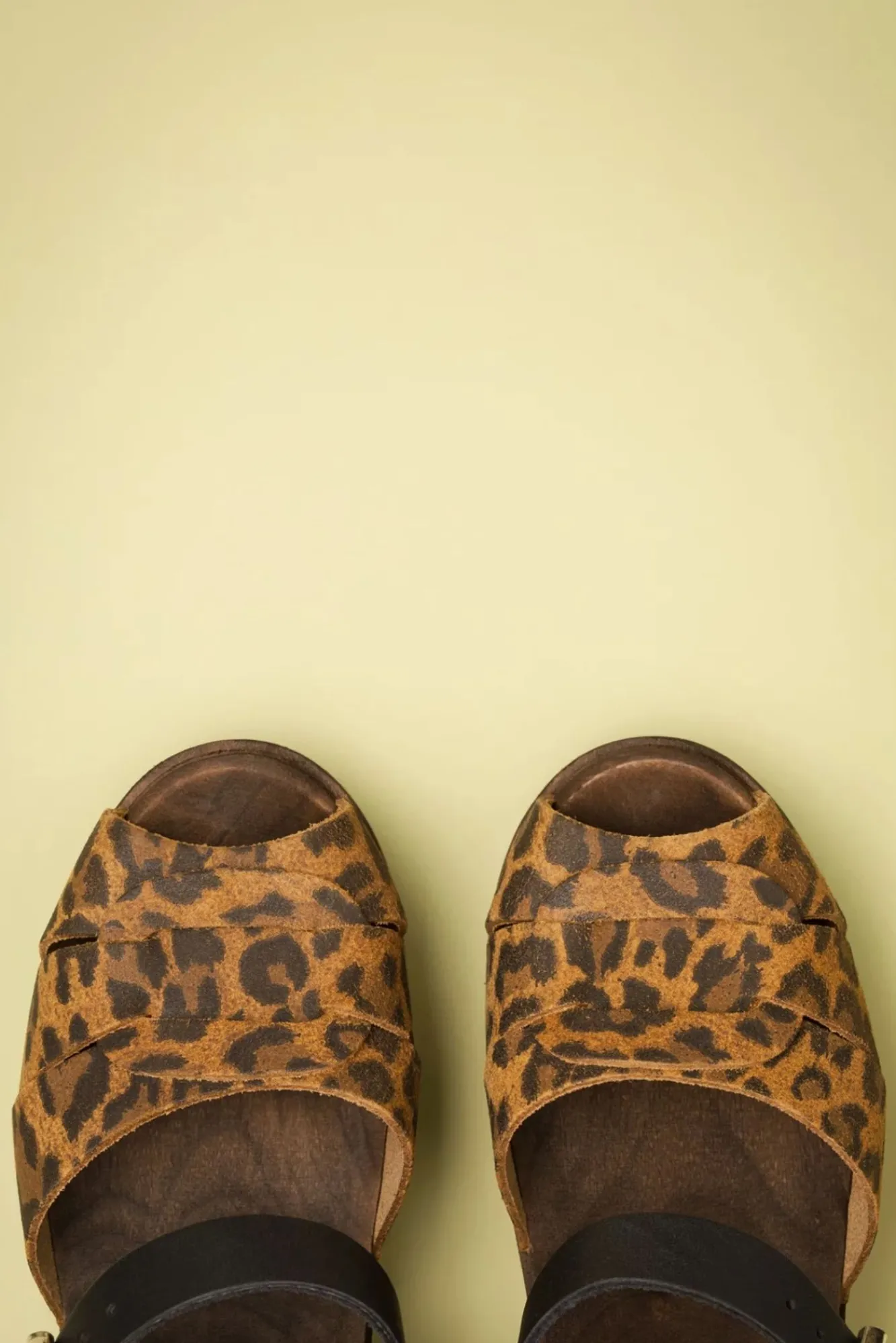 Outlet Lotta from Stockholm Loretta Leder Clogs In Schwarz Und Leopard